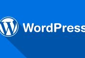 Theme Wordpress miễn phí